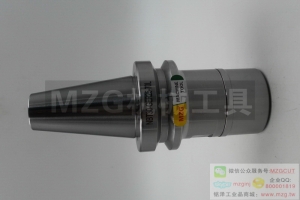 進(jìn)口高速高精度NBT30-GSK10/16-60100特價(jià)促銷無鍵槽無風(fēng)阻動(dòng)平衡