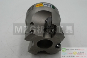 進(jìn)口特價ASR06/15R50/100/200-22/32/60-4/6/10T快進(jìn)給殼形銑刀