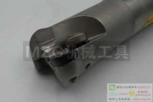 2016特價(jià)銑刀EMR C20-5R25-150-2T機(jī)夾式圓鼻立銑刀桿