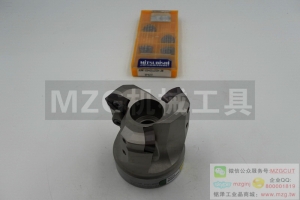 進(jìn)口AJX機(jī)夾式快進(jìn)給銑刀盤裝三菱JO/DMW/T06/0803/09T3/12040520