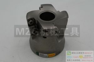 進(jìn)口ASR機(jī)夾式快進(jìn)給銑刀盤裝日立EPNW/T06/0803/10T3/13T4TN-810
