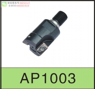 進(jìn)口機(jī)夾式直角臺(tái)肩立銑刀桿AP1003裝日立APKT1003..刀片