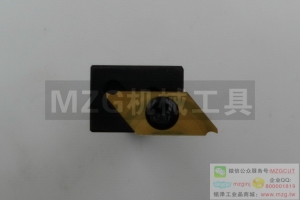 排刀式進(jìn)口切斷切槽用機(jī)夾式車刀CTPASL08/10/12/16/20/25GXH刀柄