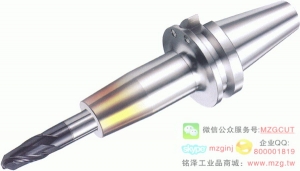 進(jìn)口高速高精度SR燒結(jié)刀柄BT-SR SHRINK FIT CHUCK