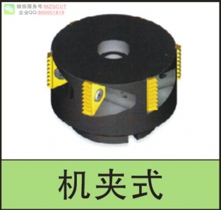 刀盤式機(jī)夾式螺紋銑刀,請聯(lián)系客服指定規(guī)格型號訂購