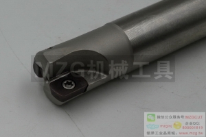 進(jìn)口特價(jià)ASR06/08/13R16/32-16/25/40-120/300-2/4T快進(jìn)給立銑刀