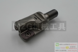 進(jìn)口鎖牙式ASRM機(jī)夾式快進(jìn)給銑刀頭裝日立EPNWT060803/10T3TN-810
