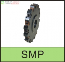 進(jìn)口890機(jī)夾式一體式高速強(qiáng)力T形刀裝N331.1A-054508刀片