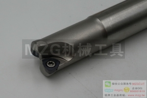 進(jìn)口SKS機(jī)夾式快進(jìn)給銑刀桿裝黛杰WO/DMW/T04T205006T3080510X620
