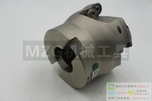 進(jìn)口特價EMR5R50/63/80/100-22/27/32/40-4/6/7/8T-圓鼻面銑刀盤